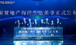 悉尼地产爆料新闻最新,最新爆料揭示惊人涨幅与投资机遇