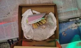 中央美院爆料视频最新版,揭秘艺术教育界的风云变幻